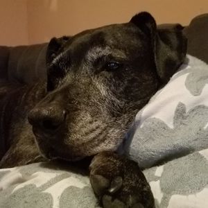 Meet your Posher, Therese